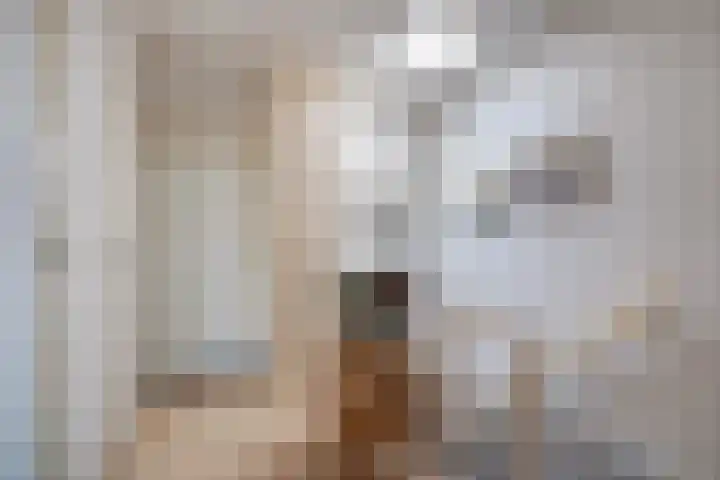 Zaagmolenkade 14 BS Utrecht thumbnail 21