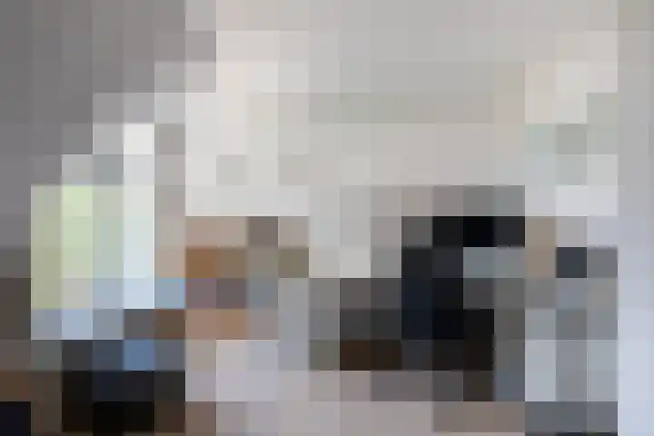 Zaagmolenkade 14 BS Utrecht thumbnail 24