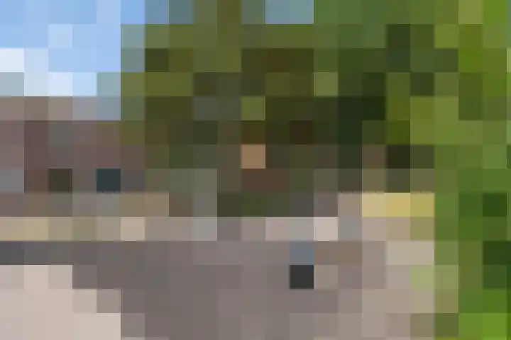 Zaagmolenkade 14 BS Utrecht thumbnail 29
