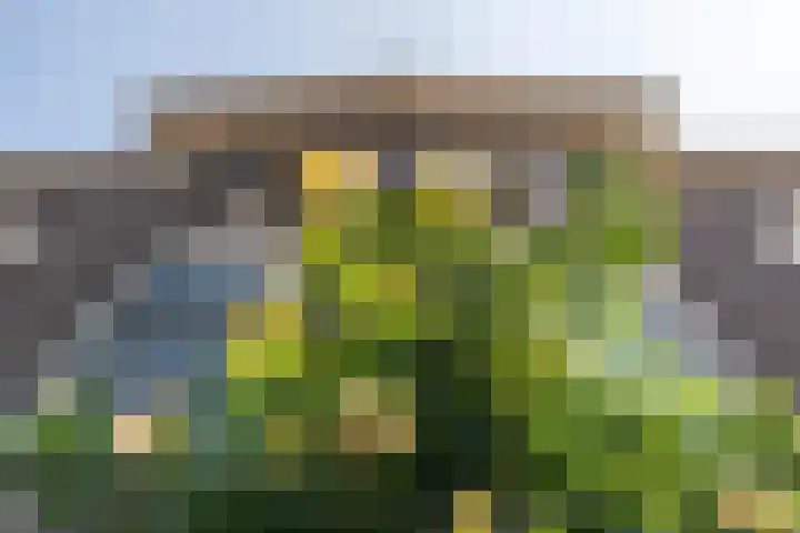 Zaagmolenkade 14 BS Utrecht thumbnail 30