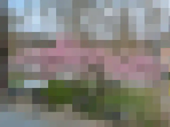 Zaagmolenkade 14 BS Utrecht thumbnail 34