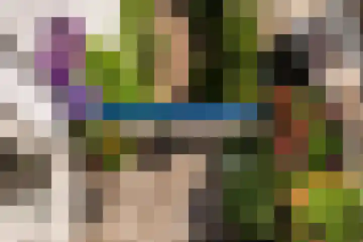 Zaagmolenkade 14 BS Utrecht thumbnail 5