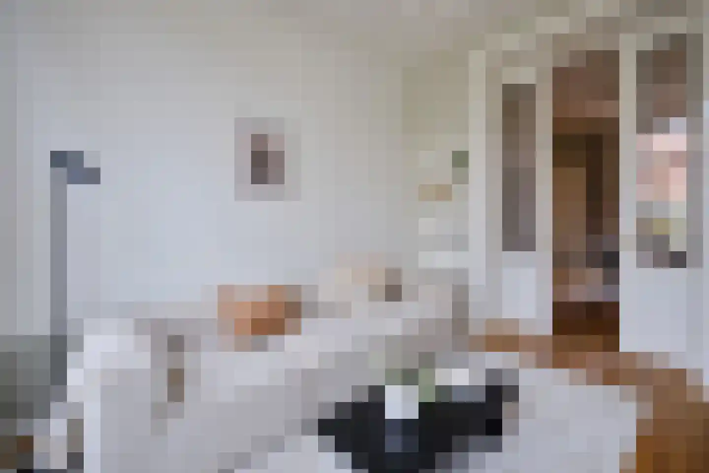 Zaagmolenkade 22 Utrecht thumbnail 11
