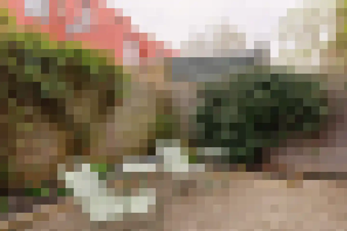 Zaagmolenkade 22 Utrecht thumbnail 16