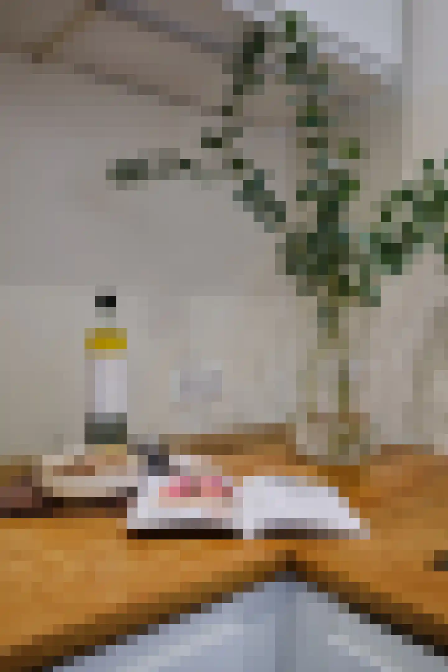 Zaagmolenkade 22 Utrecht thumbnail 20