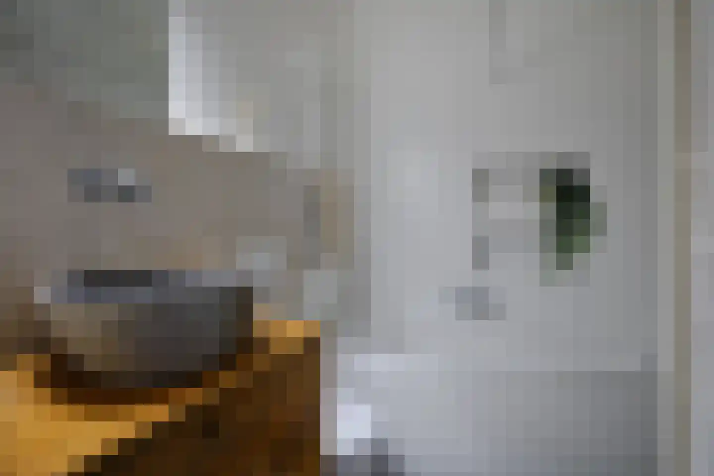 Zaagmolenkade 22 Utrecht thumbnail 22