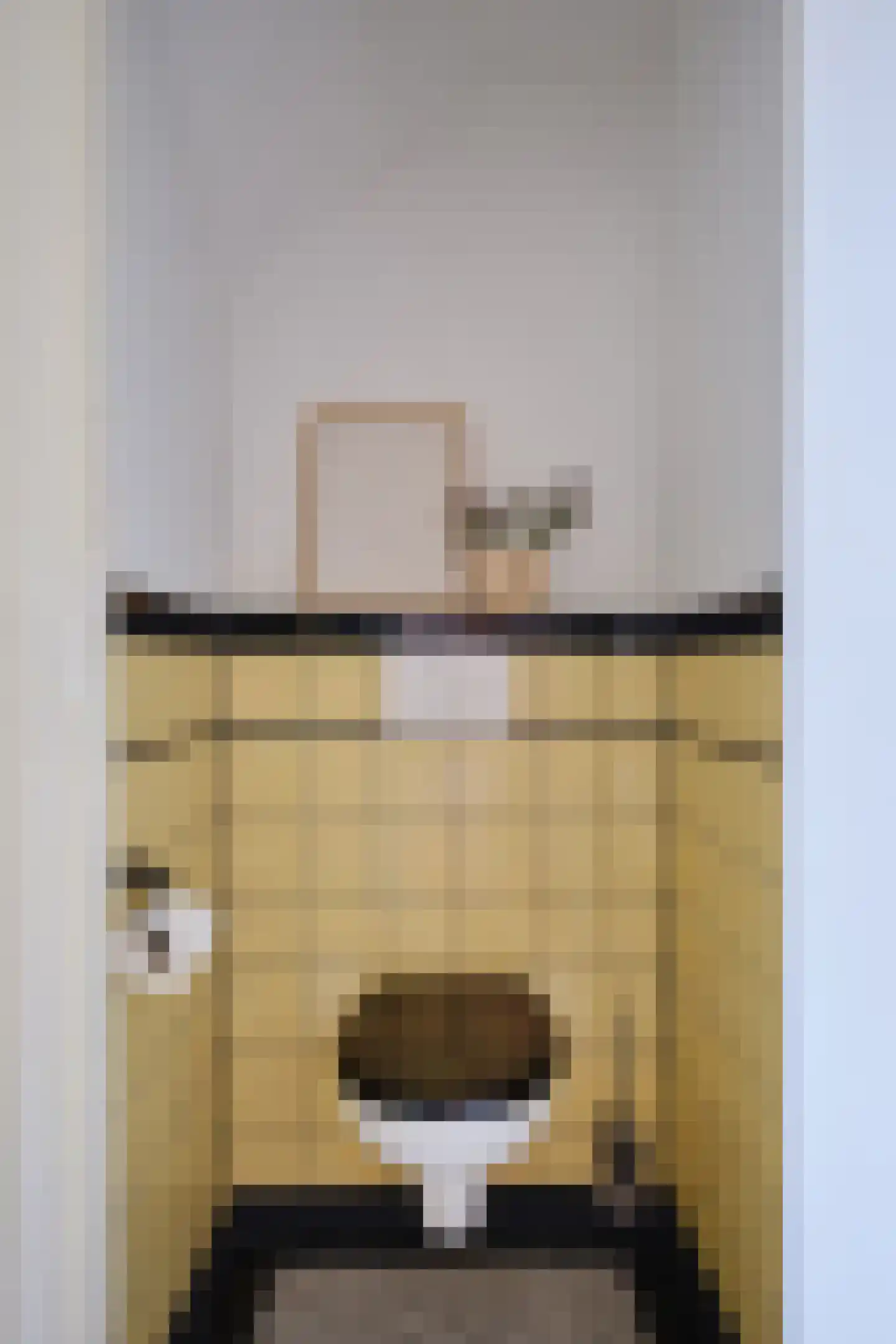 Zaagmolenkade 22 Utrecht thumbnail 34