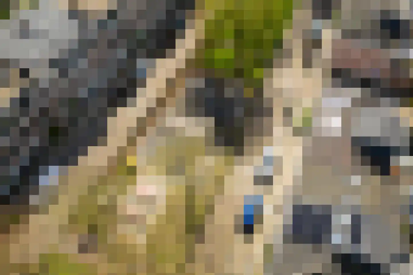 Zaagmolenkade 22 Utrecht thumbnail 38