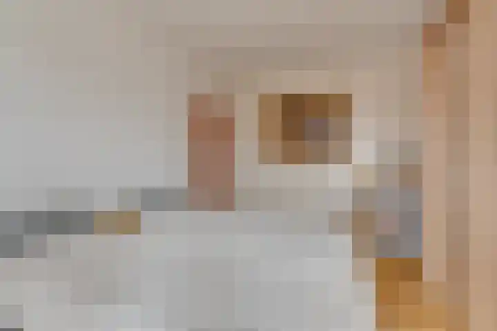 Zaagmolenkade 25 BS Utrecht thumbnail 19
