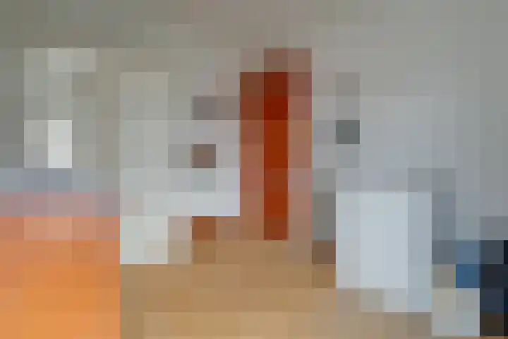 Zaagmolenkade 25 BS Utrecht thumbnail 21