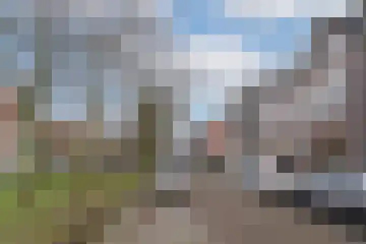 Zaagmolenkade 25 BS Utrecht thumbnail 25