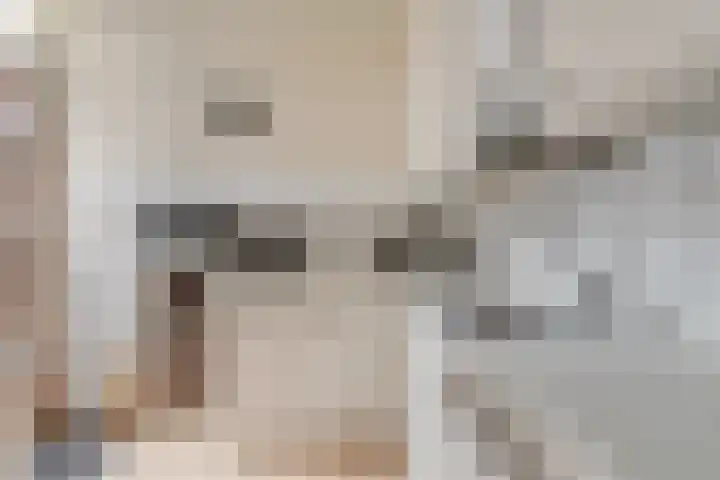 Zaagmolenkade 25 BS Utrecht thumbnail 9