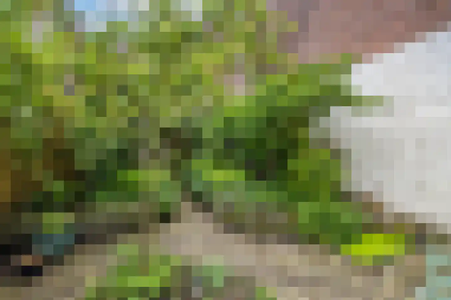 Zaagmolenkade 29 Utrecht thumbnail 15