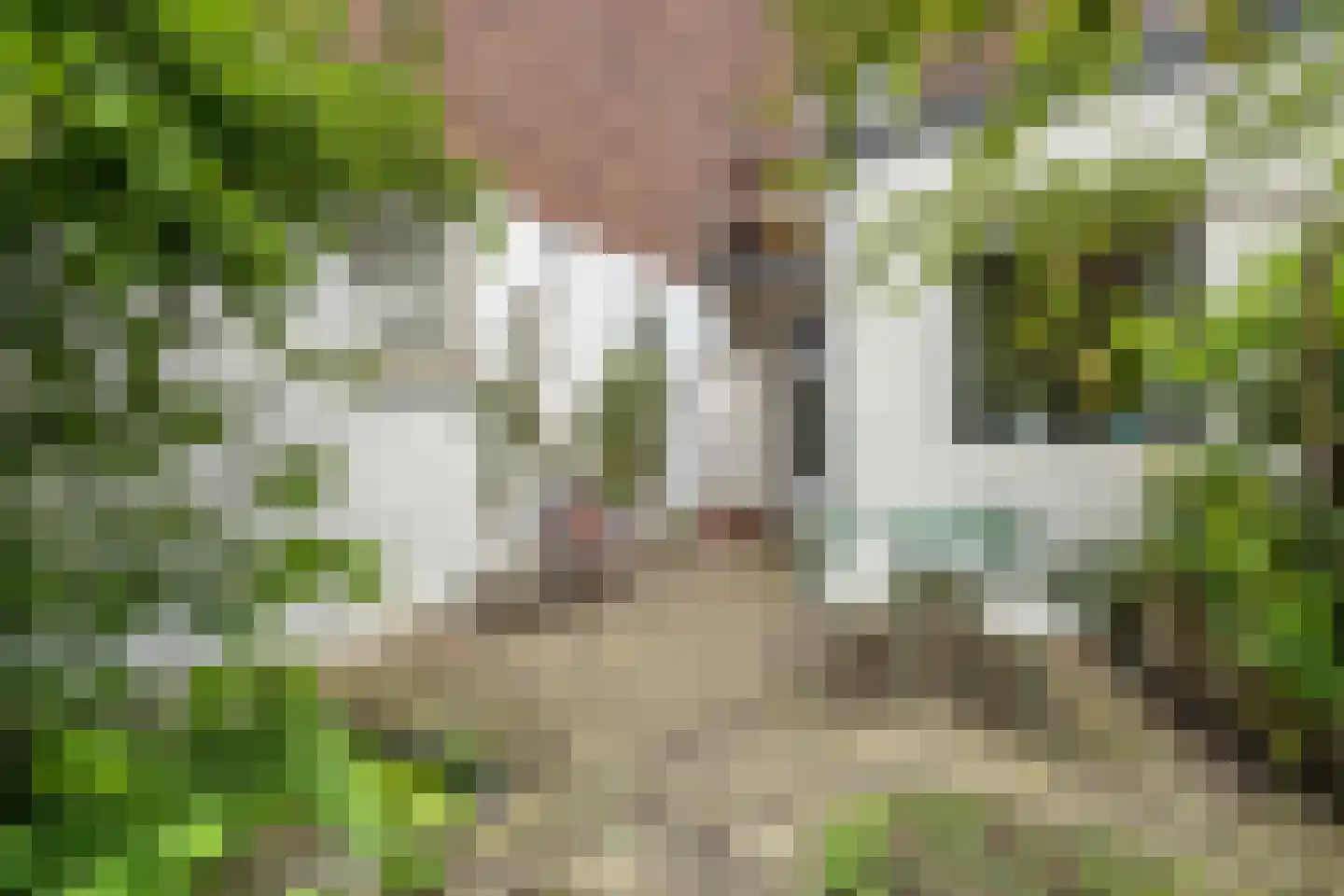 Zaagmolenkade 29 Utrecht thumbnail 16