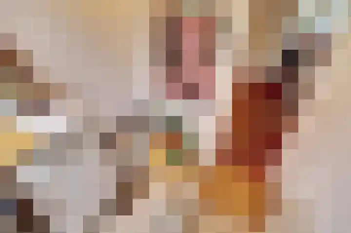 Zaagmolenkade 33 Utrecht thumbnail 15