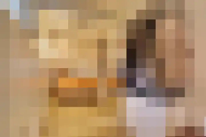 Zaagmolenkade 33 Utrecht thumbnail 16