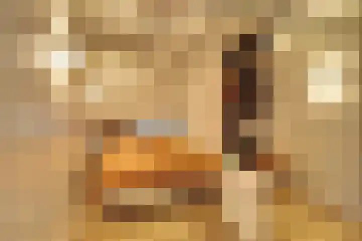 Zaagmolenkade 33 Utrecht thumbnail 17