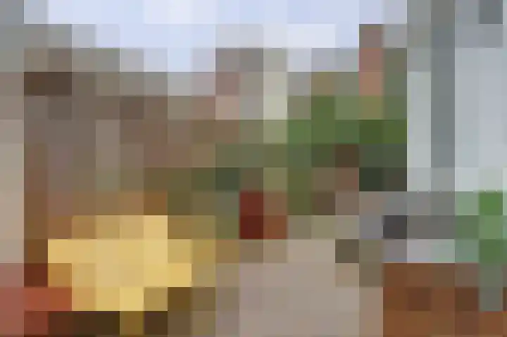 Zaagmolenkade 33 Utrecht thumbnail 23