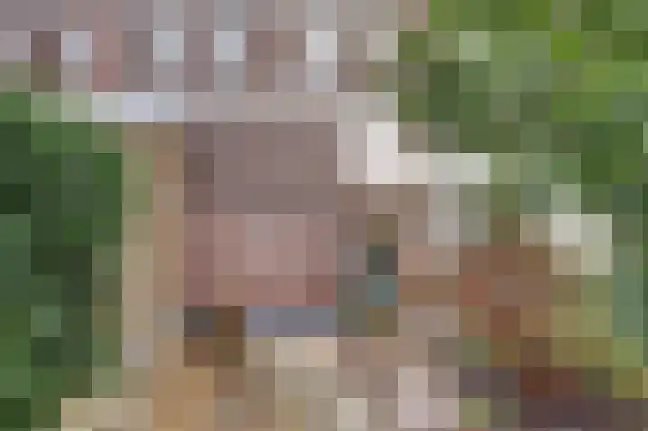Zaagmolenkade 33 Utrecht thumbnail 26