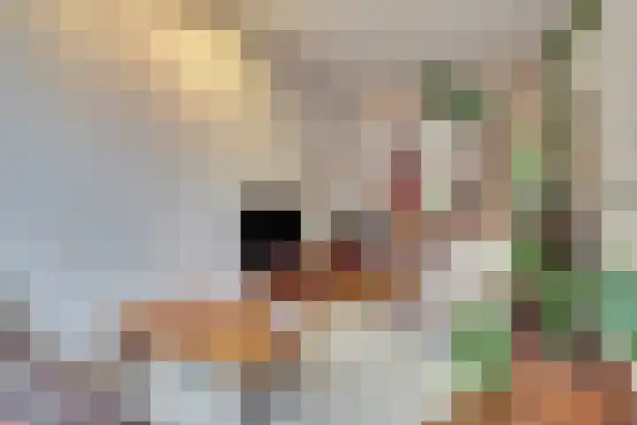 Zaagmolenkade 33 Utrecht thumbnail 5