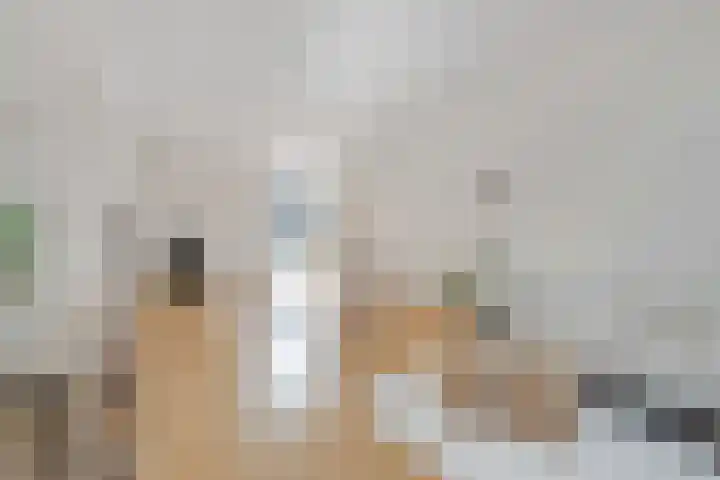 Zaagmolenkade 40 BS Utrecht thumbnail 10