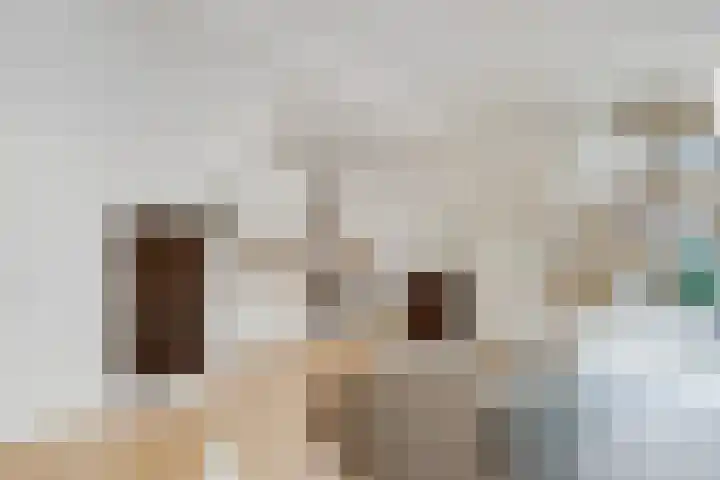 Zaagmolenkade 40 BS Utrecht thumbnail 11