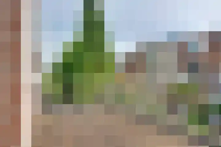 Zaagmolenkade 40 BS Utrecht thumbnail 16