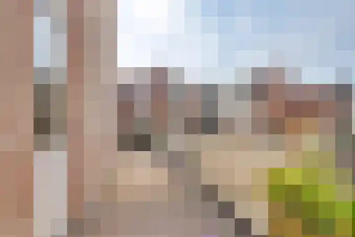 Zaagmolenkade 40 BS Utrecht thumbnail 17