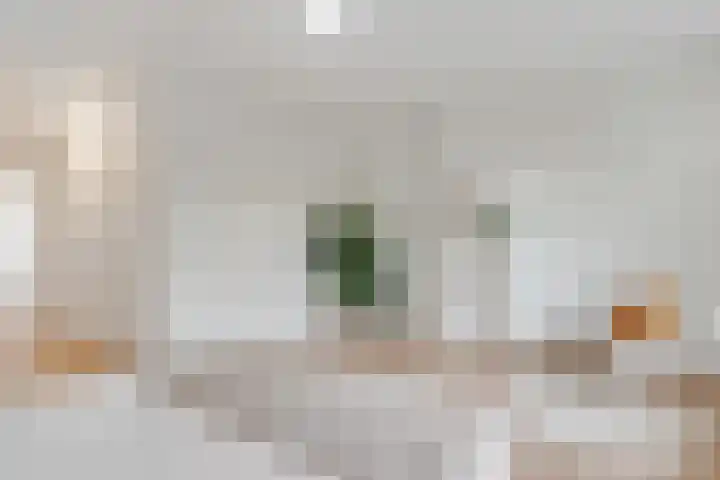 Zaagmolenkade 40 BS Utrecht thumbnail 27