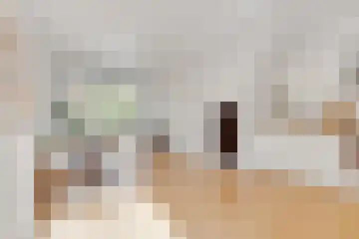 Zaagmolenkade 40 BS Utrecht thumbnail 4
