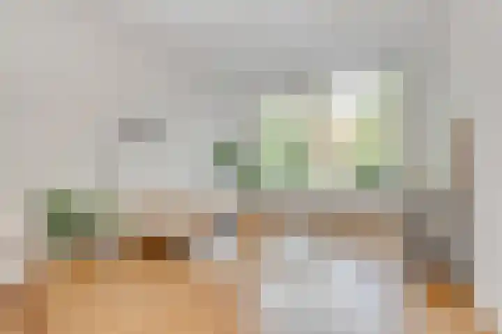 Zaagmolenkade 40 BS Utrecht thumbnail 8