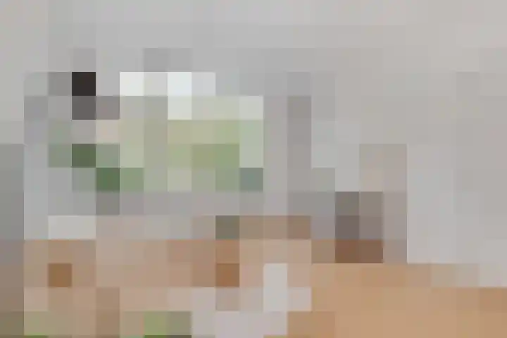 Zaagmolenkade 40 BS Utrecht thumbnail 9