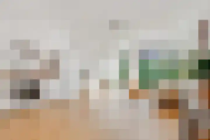 Zaagmolenkade 40 Utrecht thumbnail 11