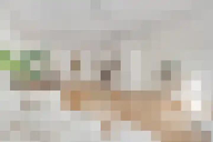 Zaagmolenkade 40 Utrecht thumbnail 15