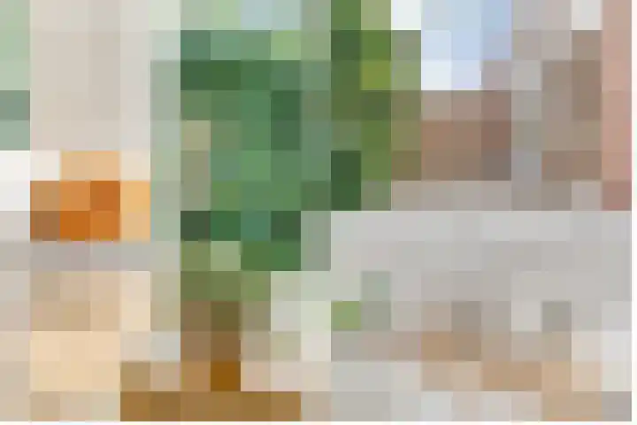 Zaagmolenkade 40 Utrecht thumbnail 19