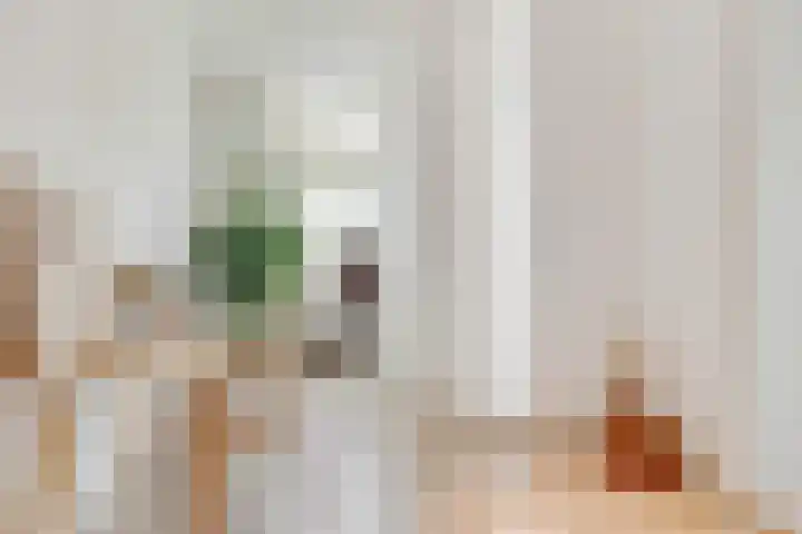 Zaagmolenkade 40 Utrecht thumbnail 28
