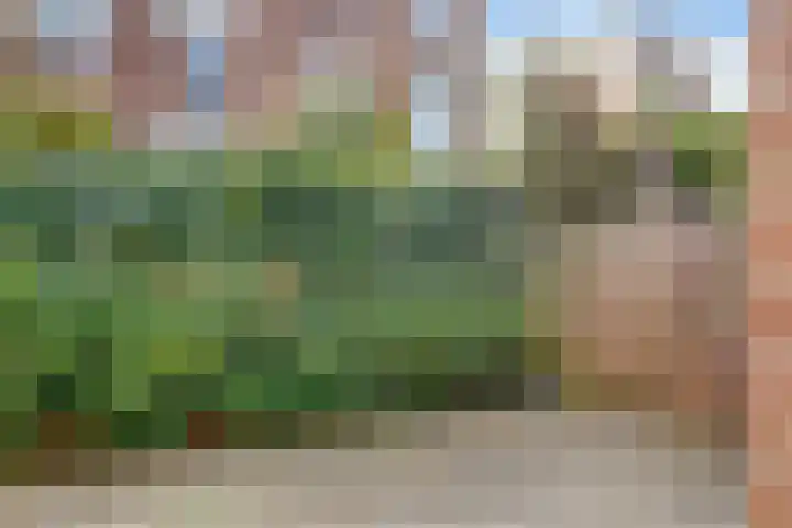 Zaagmolenkade 40 Utrecht thumbnail 31