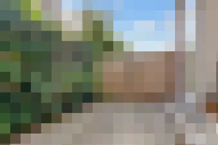 Zaagmolenkade 40 Utrecht thumbnail 32
