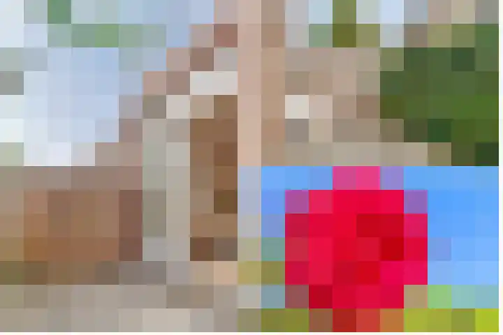 Zaagmolenkade 40 Utrecht thumbnail 34