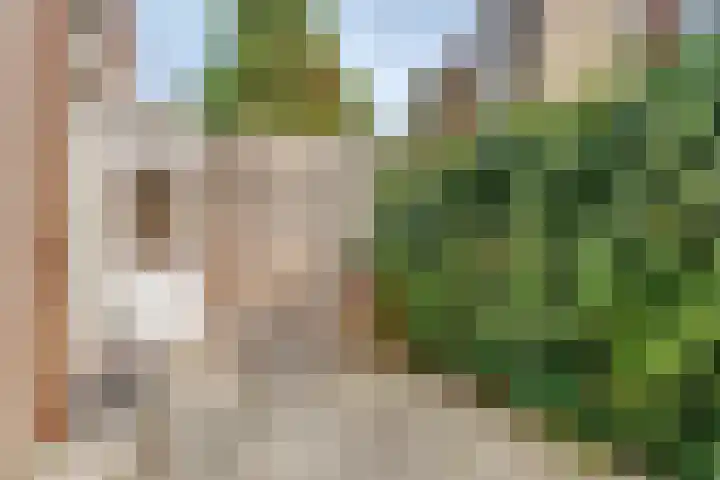 Zaagmolenkade 40 Utrecht thumbnail 36