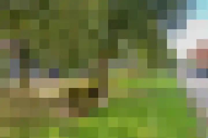 Zaagmolenkade 40 Utrecht thumbnail 37