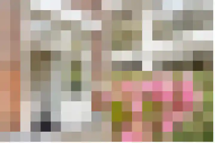 Zaagmolenkade 40 Utrecht thumbnail 4