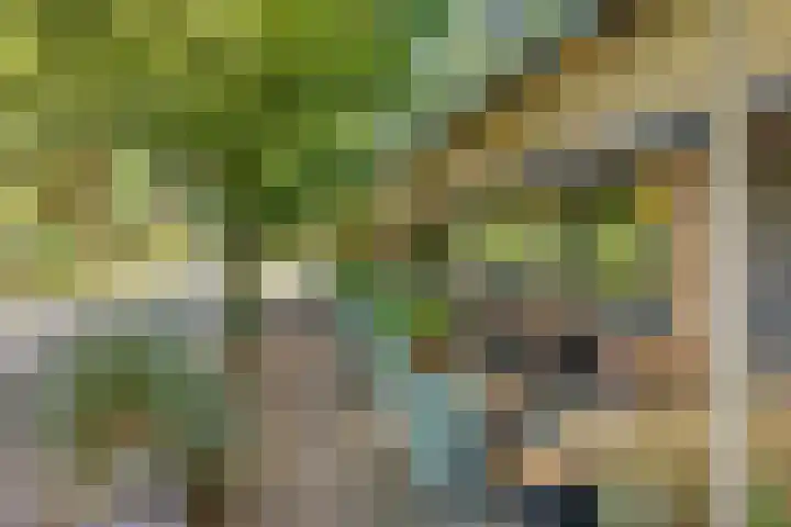 Zaagmolenkade 40 Utrecht thumbnail 41