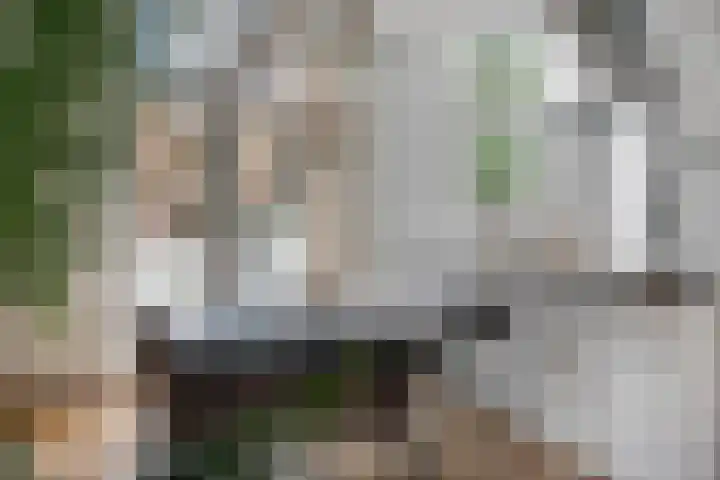 Zaagmolenkade 43 BS Utrecht thumbnail 10