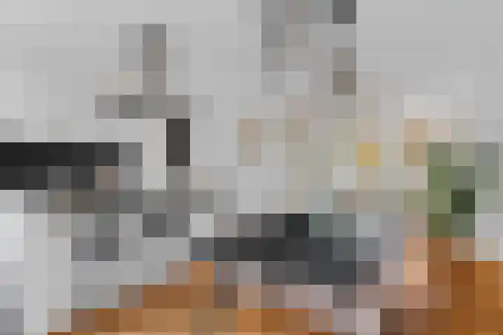 Zaagmolenkade 43 BS Utrecht thumbnail 11