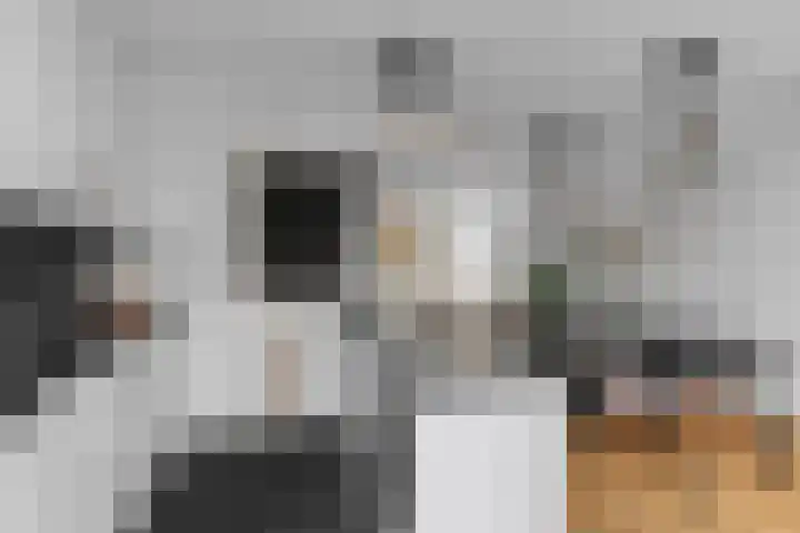 Zaagmolenkade 43 BS Utrecht thumbnail 14