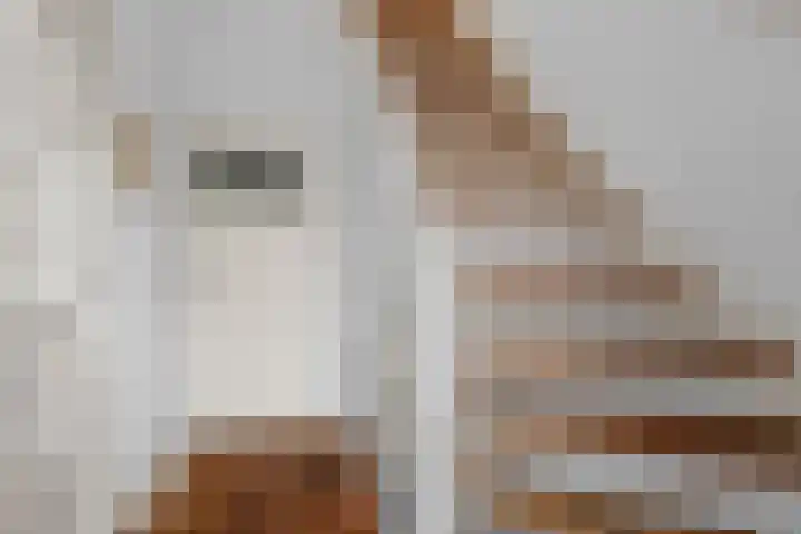 Zaagmolenkade 43 BS Utrecht thumbnail 21