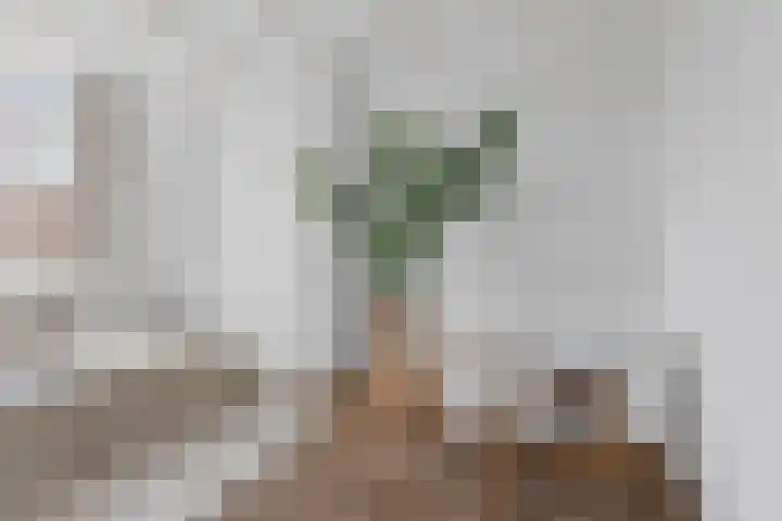 Zaagmolenkade 43 BS Utrecht thumbnail 25