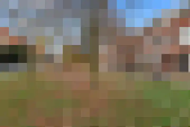 Zaagmolenkade 43 BS Utrecht thumbnail 45