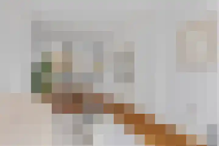 Zaagmolenkade 43 BS Utrecht thumbnail 7